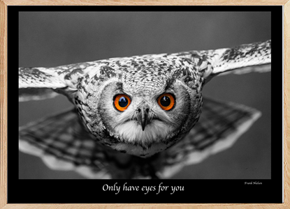 I only have eyes for you2