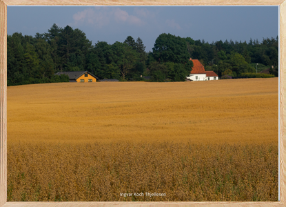 Danish field