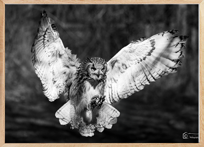 Safe landing